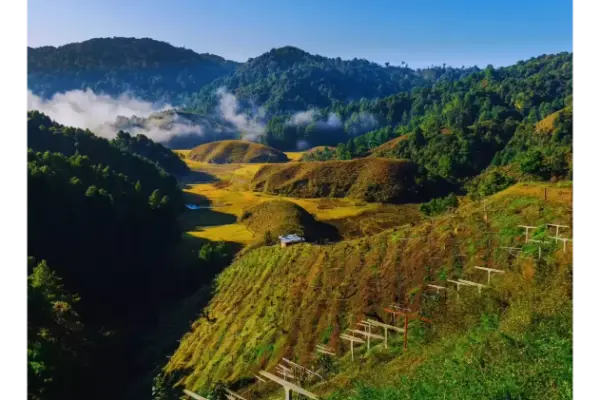 Ziro Valley